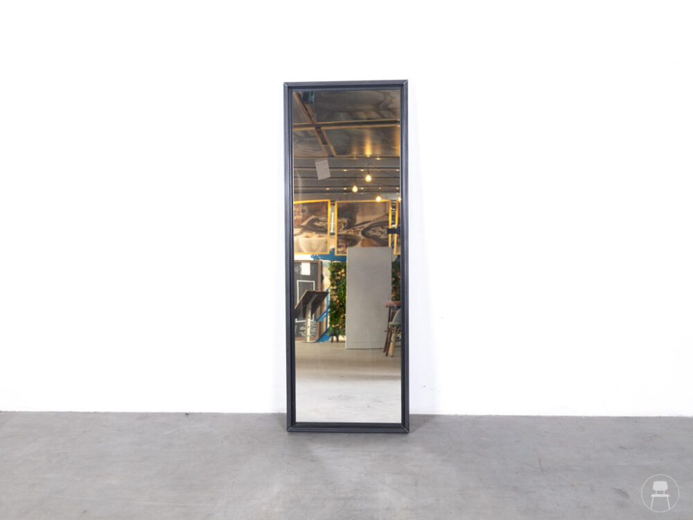 Spiegel Myrthe steel 155x55cm
