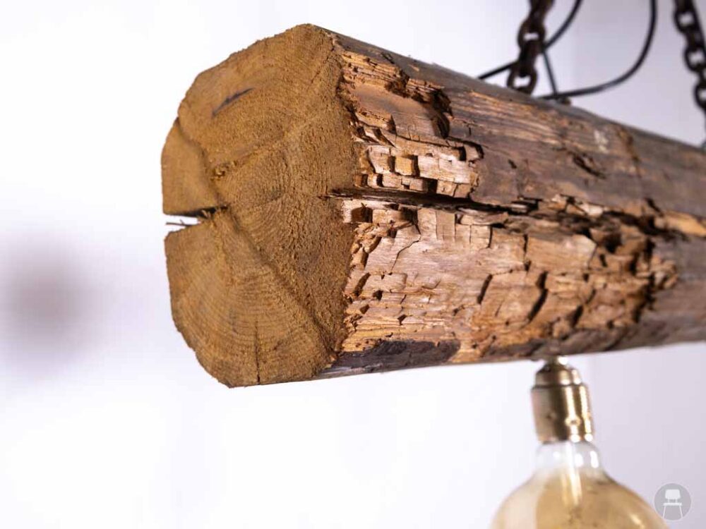 Hanglamp Boomstam dubbel