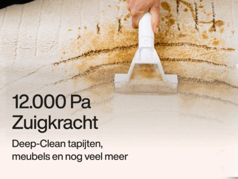 Vlekkenreiniger PowerClean - Afbeelding 4