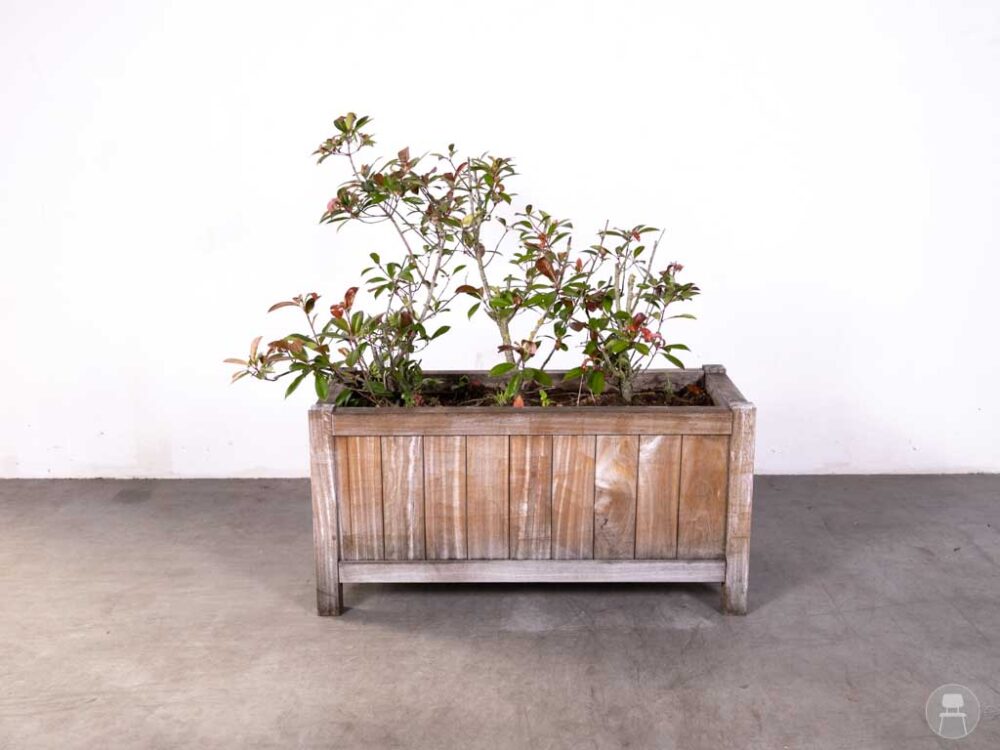 Plantenbak Teak Ronny 120x50cm