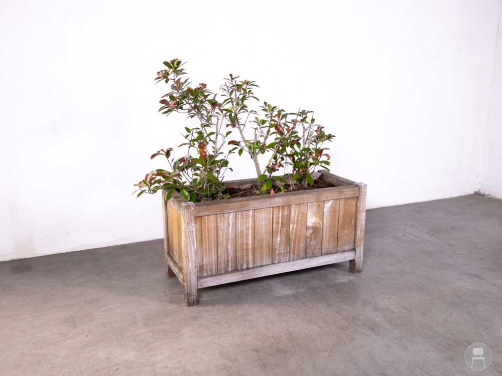 Plantenbak Teak Ronny 120x50cm