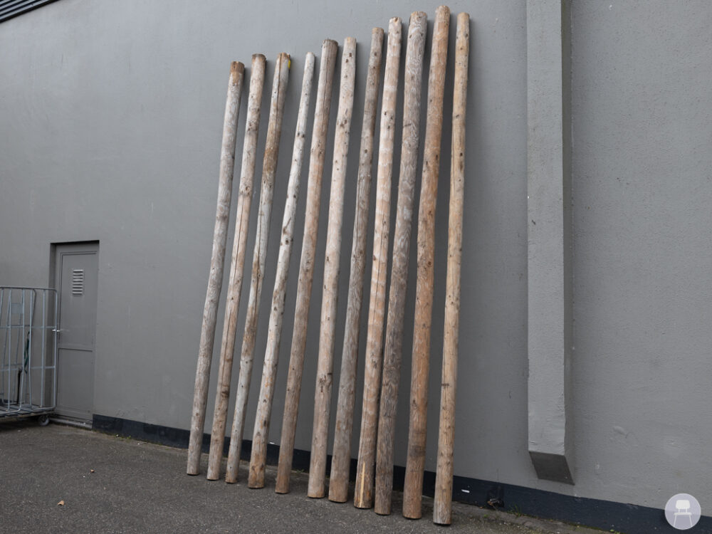 1 set 11 stuks Kastanjepaal hout 4 meter