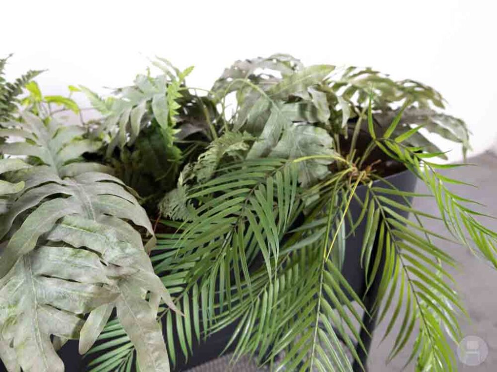 Plantenbak Bloom verrijdbaar zwart Satelliet 120cm