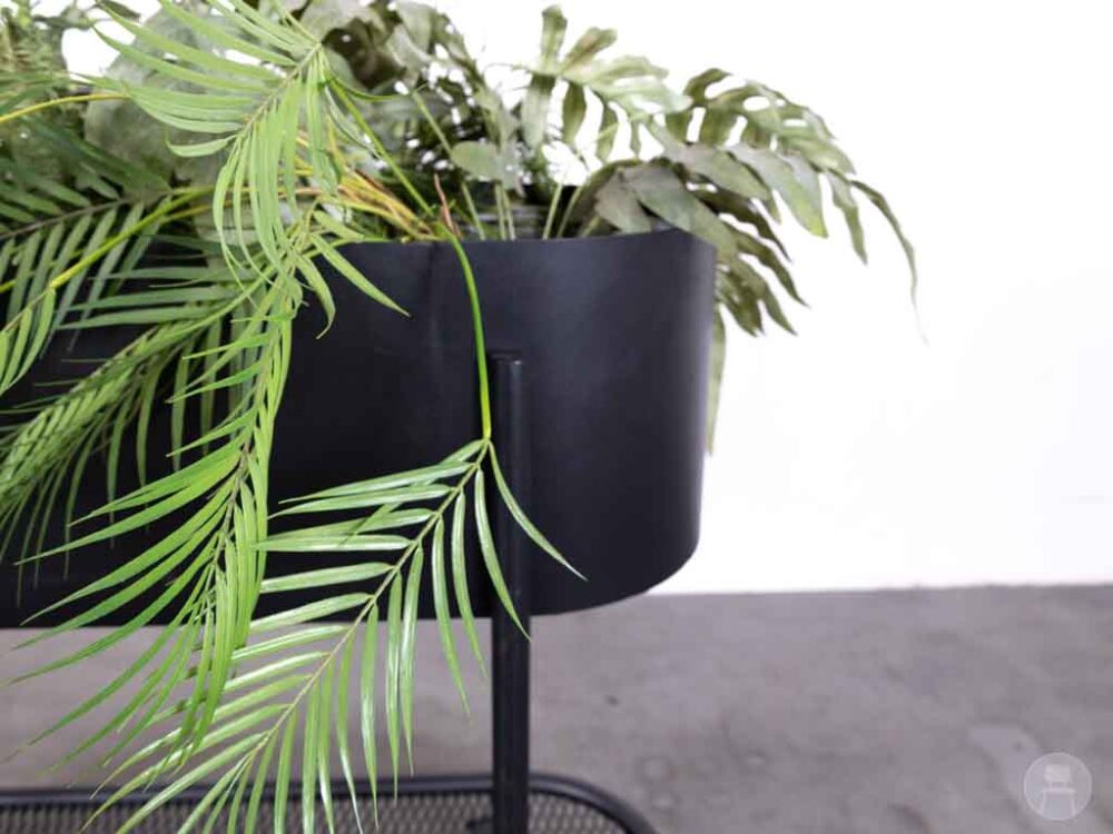 Plantenbak Bloom verrijdbaar zwart Satelliet 120cm